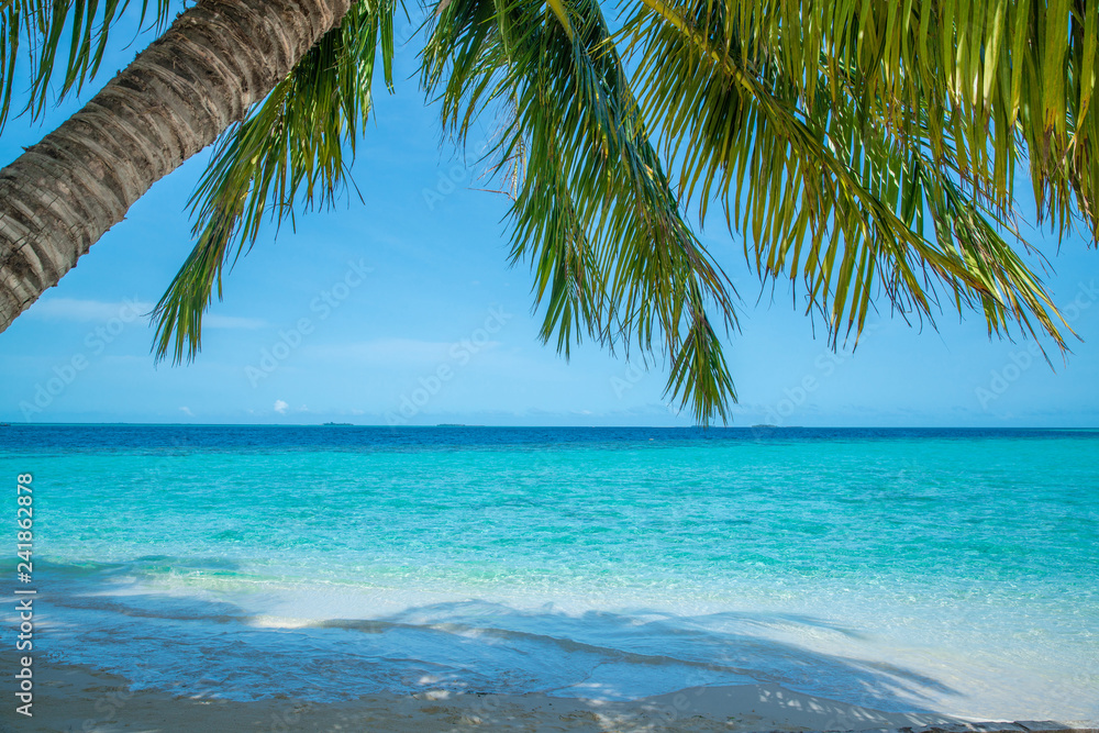 Fototapeta premium Wave of tropical sea beach on white sand with coconut leaf edge frame.