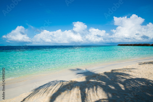 Fototapeta Naklejka Na Ścianę i Meble -  Wave of tropical sea beach on white sand with coconut leaf shadow.