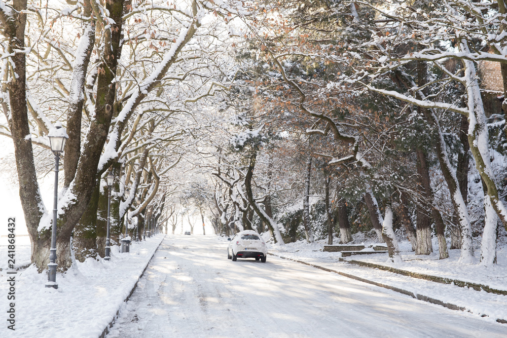 snow ice winter season trees road in Ioannina city Greece snow ice winter season trees road in Ioannina city Greece