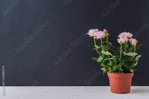 Wallpaper Mural Home interior with decor elements Torontodigital.ca