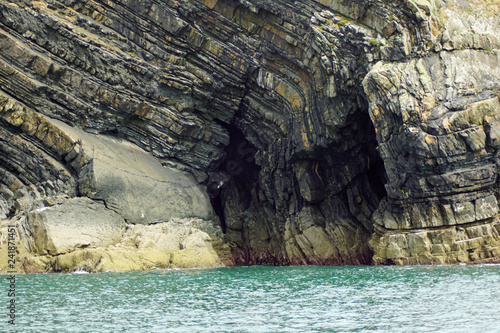 coast - Dolphin tour, Carrigaholt, co clare, ireland photo