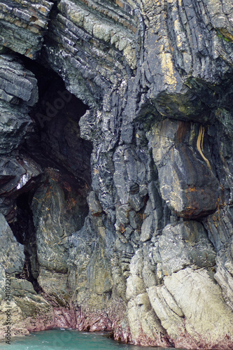 coast - Dolphin tour, Carrigaholt, co clare, ireland photo