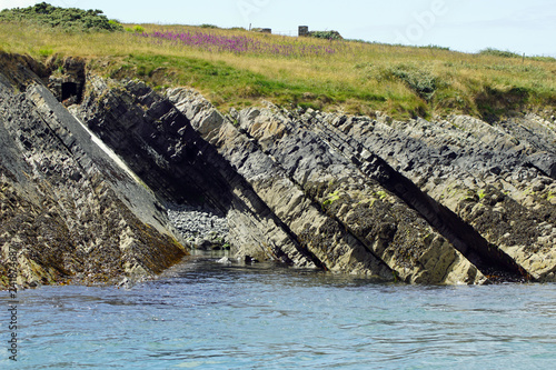 coast - Dolphin tour, Carrigaholt, co clare, ireland photo