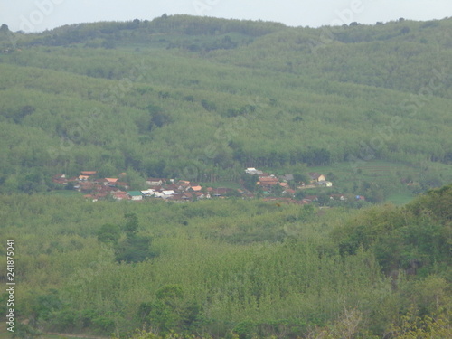 Beautiful Village In The Middle Of The Teak Forest
