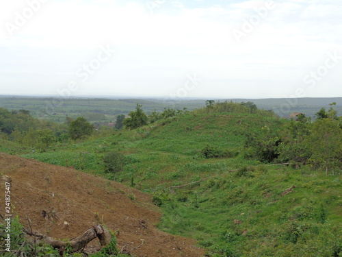 Beautiful Village In The Middle Of The Teak Forest