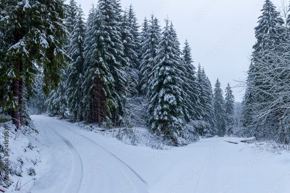 Winterlandschaft bei Morgenröthe-Rautenkranz, im Vogtland Winterlandschaft bei Morgenröthe-Rautenkranz, im Vogtland