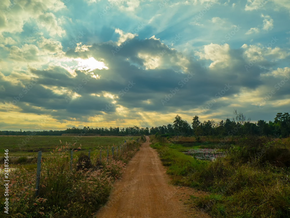 Obraz premium Morning sunset in deep blue sky over Rural way road