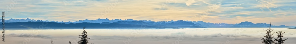 Panoramic view over the Swiss alps, from East To West Switzerland, from the Glarus Alps to the Bernese Alps, at sunset with an ocean of fog and fir trees.