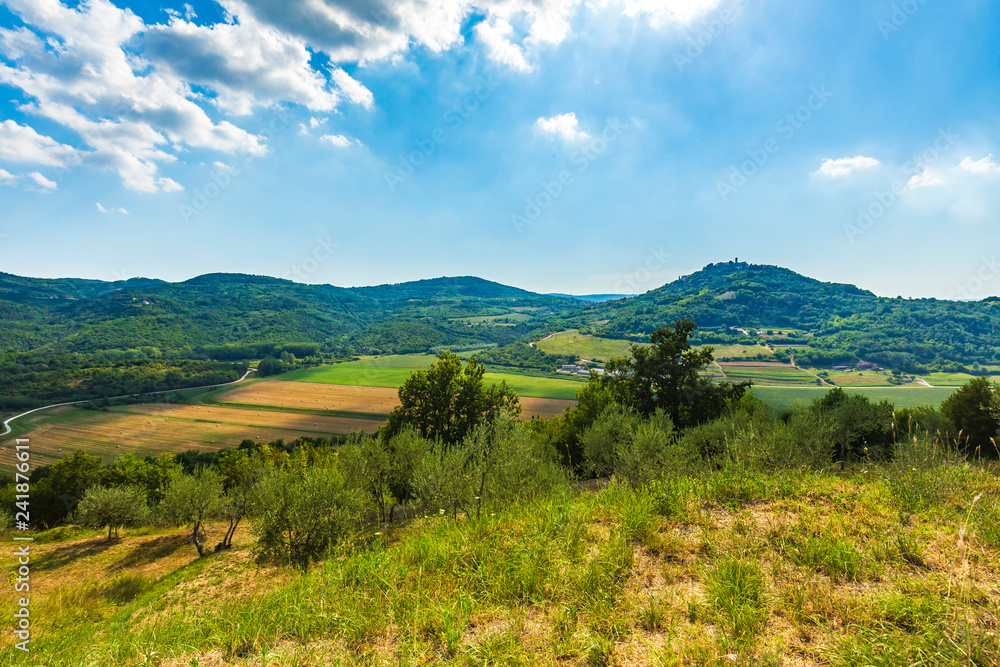Naklejka premium Beautiful agriculture landscape at the outback of Istria, Croatia
