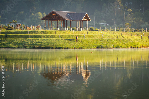 Beautiful misty sunrise over the Lake Gregory in Nuwara Ellia, Sri Lanka. Reflextion in the lake. Hourse on the lush green field.