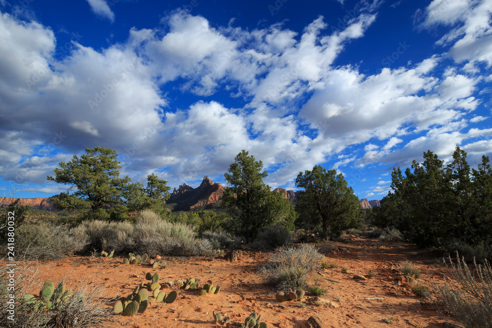 Desert landscape at Eagle Crags, nearby Zion National Park, Utah, USA