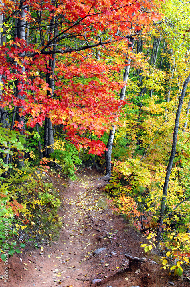 Autumn on Hungarian Falls Trail Autumn on Hungarian Falls Trail