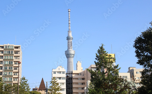 Wallpaper Mural  View of Tokyo Sky Tree (634m), the highest free-standing structure in Japan and 2nd in the world on November 06 , 2016 in Tokyo, Japan. Torontodigital.ca