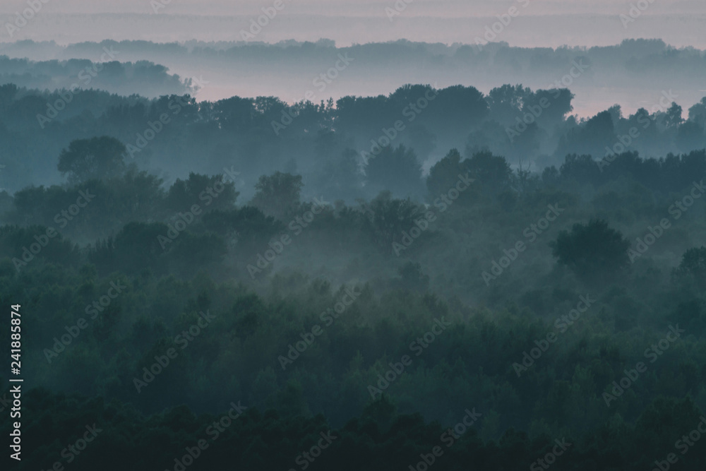 Mystical view from top on forest under haze at early morning. Mist among layers from tree silhouettes in taiga under warm predawn sky. Morning atmospheric minimalistic landscape of majestic nature. Mystical view from top on forest under haze at early morning. Mist among layers from tree silhouettes in taiga under warm predawn sky. Morning atmospheric minimalistic landscape of majestic nature.