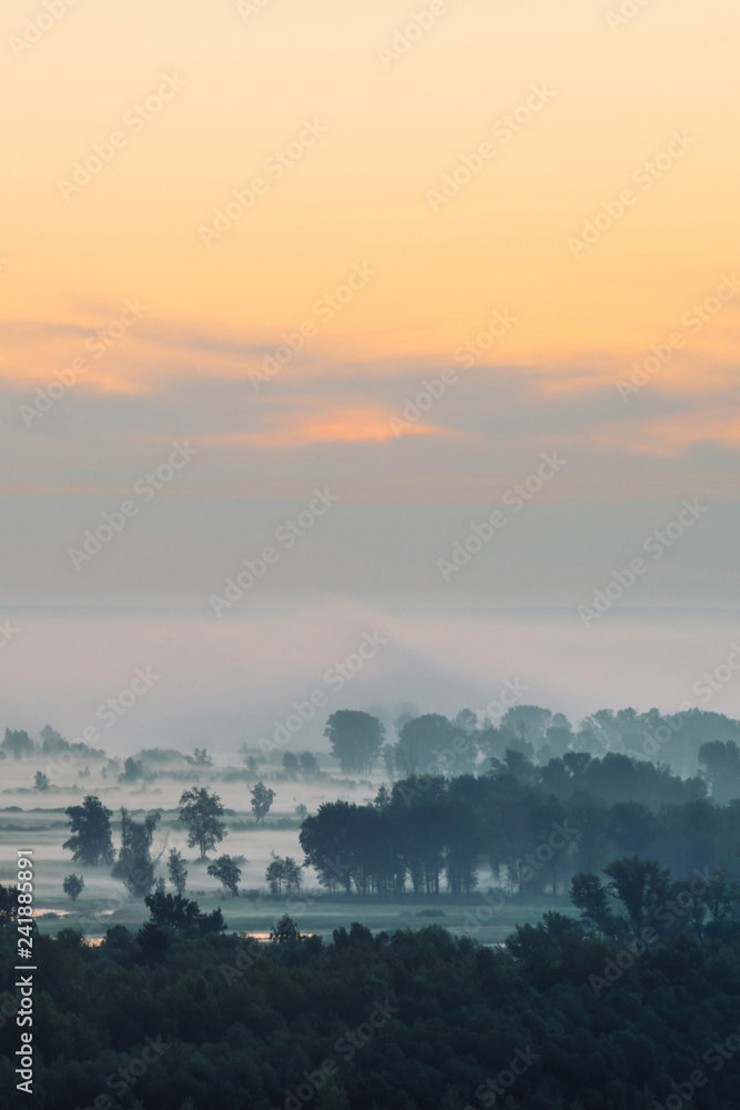 Mystic view on forest under haze at early morning. Mist among tree silhouettes under predawn sky. Gold light reflection in water. Calm morning atmospheric minimalistic landscape of majestic nature.