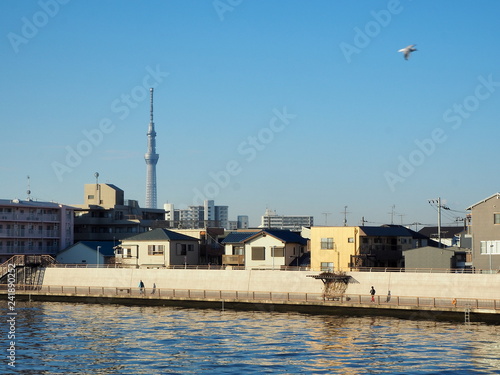 nakagawa river katsushika tokyo