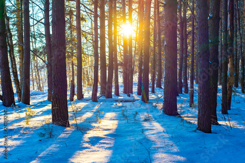 Photography Nature of moscow region
