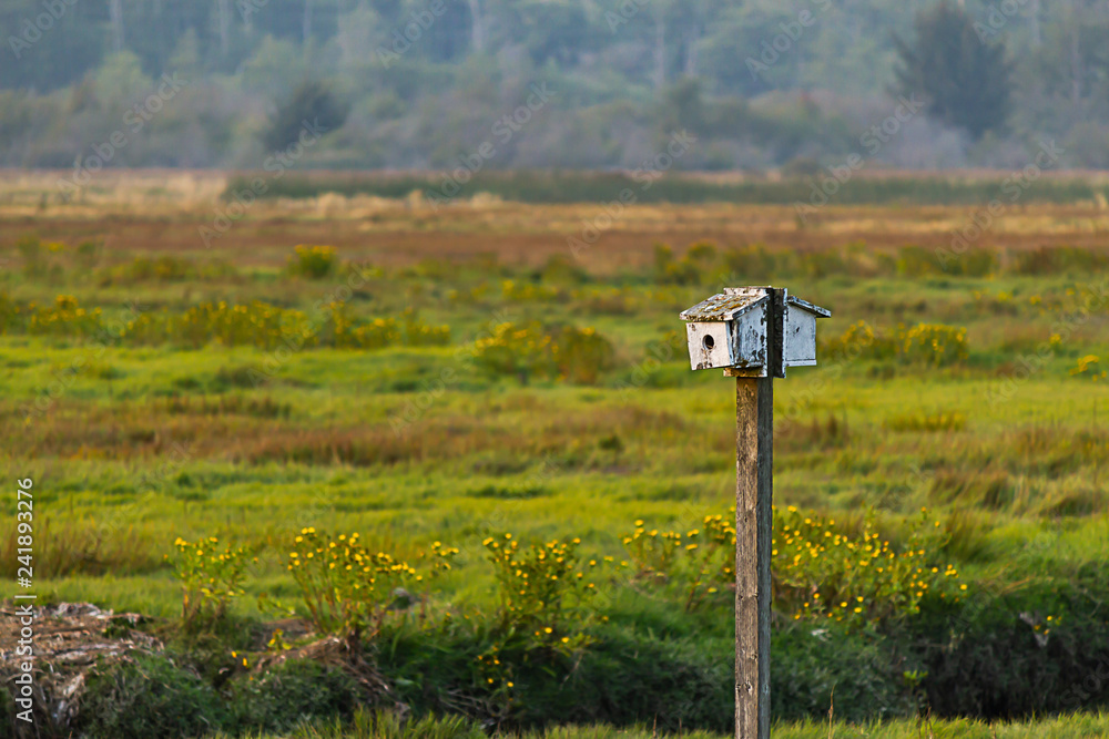 small white bird house on a pole in colorful late summer field small white bird house on a pole in colorful late summer field