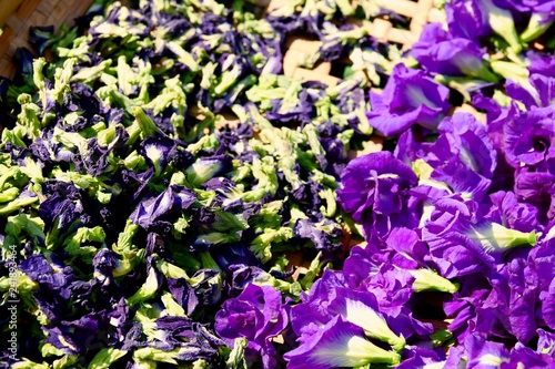 Butterfly Pea flower dries in basket for mix with hot water to drinking