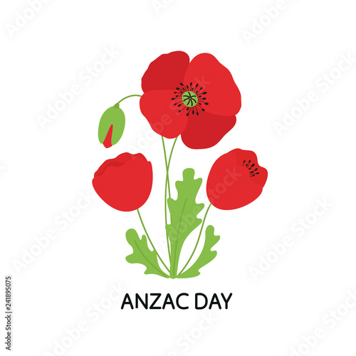 ANZAC DAY. Bouquet of poppy flowers. Vector illustration
