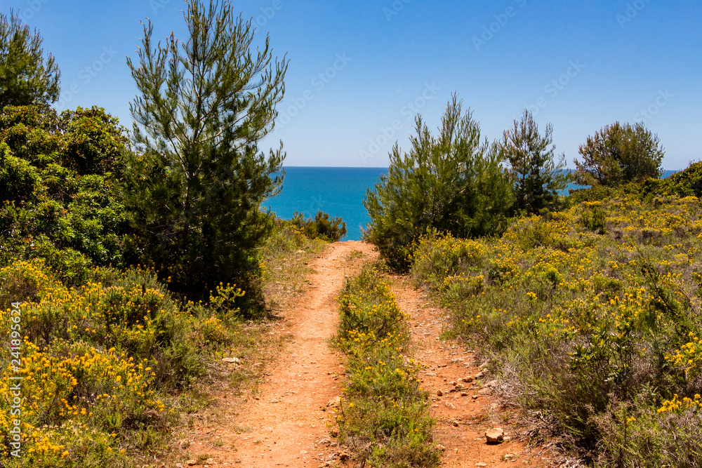 Reddish earth path through the bushes, trees and flowers leading towards the ocean. Reddish earth path through the bushes, trees and flowers leading towards the ocean.