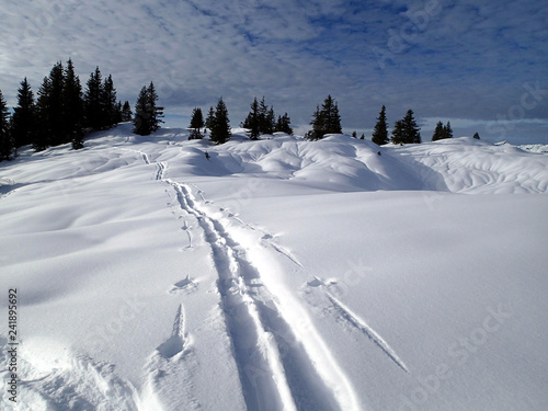 magical winter landscape in the alps - Vorarlberg Austria