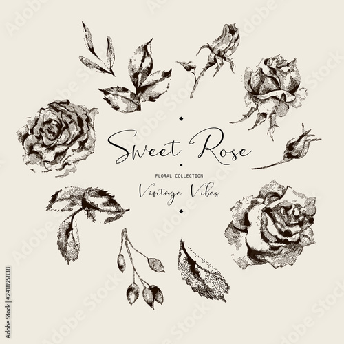 Vector vintage roses black and white floral greeting card, flowers