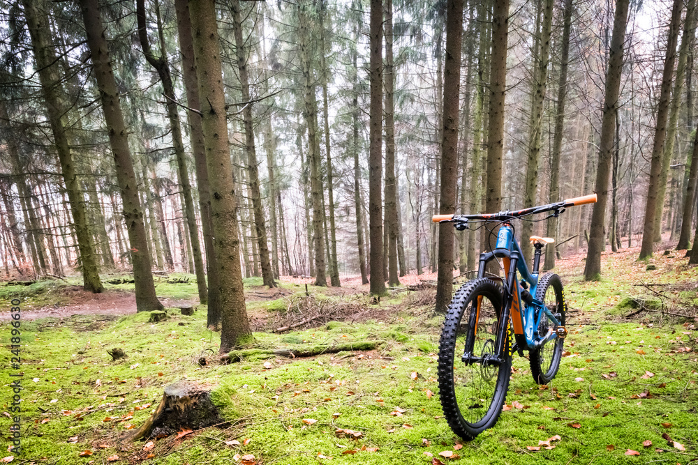 Présentation d'un vélo tout terrain en forêt - vtt