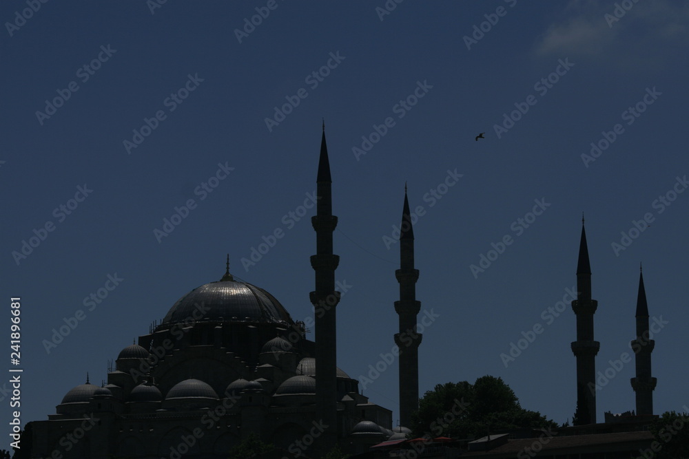 Obraz premium blue mosque in istanbul