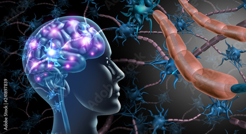 Bild auf Leinwand Brain Nerve Cells