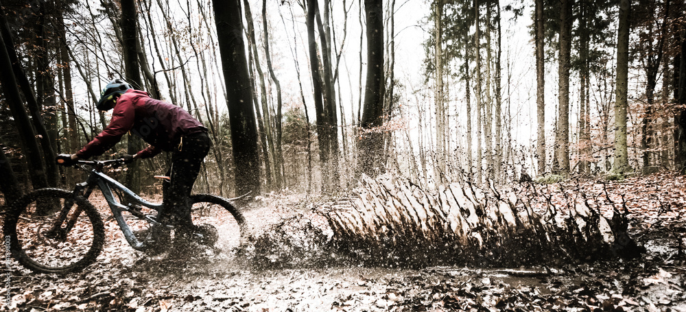 Sport extrême vtt de descente dans les bois en automne Photos | Adobe Stock