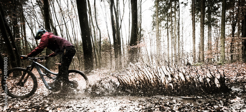 Sport extrême vtt de descente dans les bois en automne photo