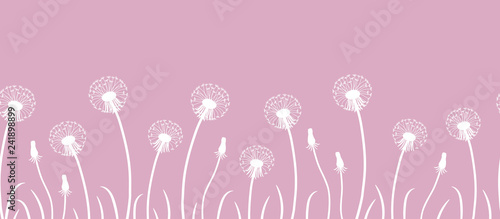 Fototapeta Naklejka Na Ścianę i Meble -  Seamless border with white dandelions on a pink background. Vector illustration