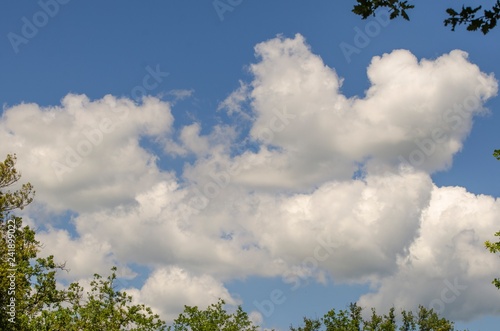 Sfondo con cielo e nuvole e in una piccola cornice di vegetazione