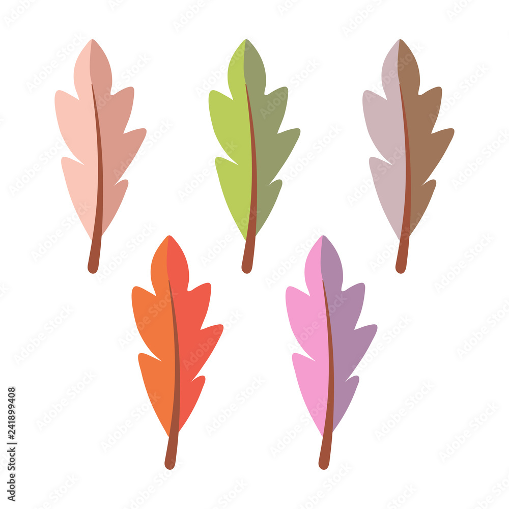 Feathers Illustration - Set of 5 colorful feathers isolated on white background