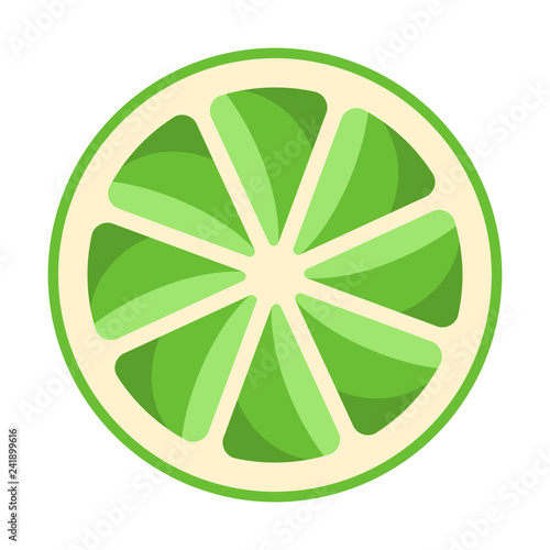 Lime Citrus Illustration - Round lime slice or cross section isolated on white background
