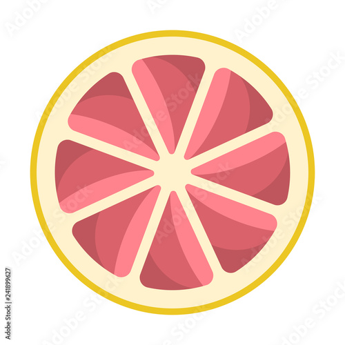 Grapefruit Citrus Illustration - Round grapefruit slice or cross section isolated on white background