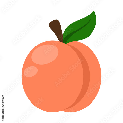 Peach Illustration - Peach with stem and leaf isolated on white background