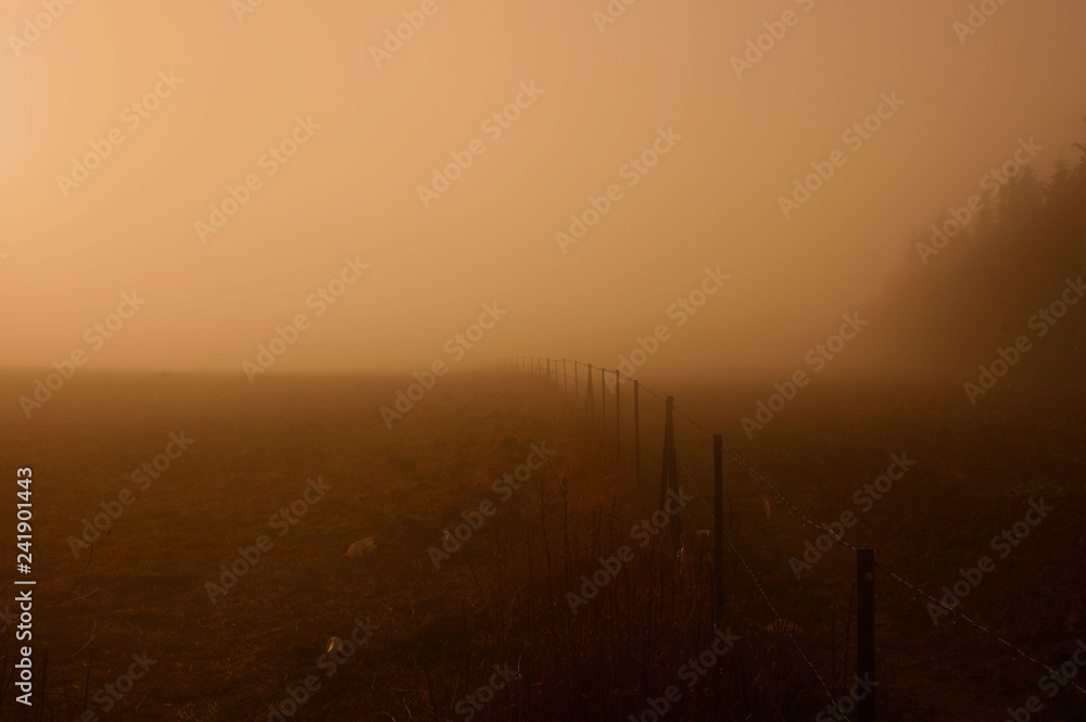 foggy sunrise foggy sunrise