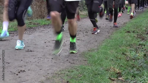 Athletes running forest marathon