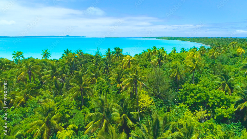 AERIAL: Flying over the lush tropical vegetation covering the remote island.