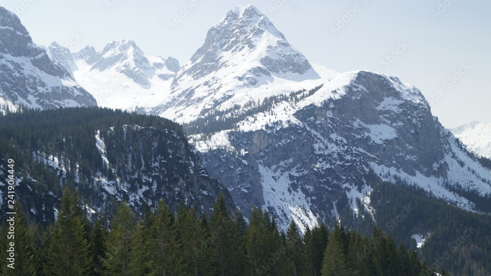 berg berg