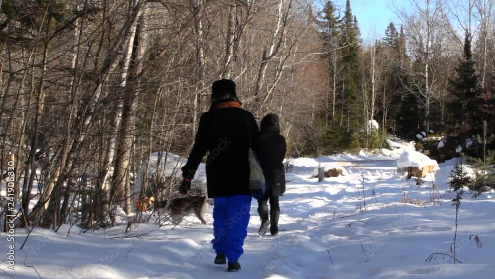 Two women walking husky dog in winter. Old woman and younger girl walking in the street with alaskan husky dog in wintertime seen from behind - traveling up