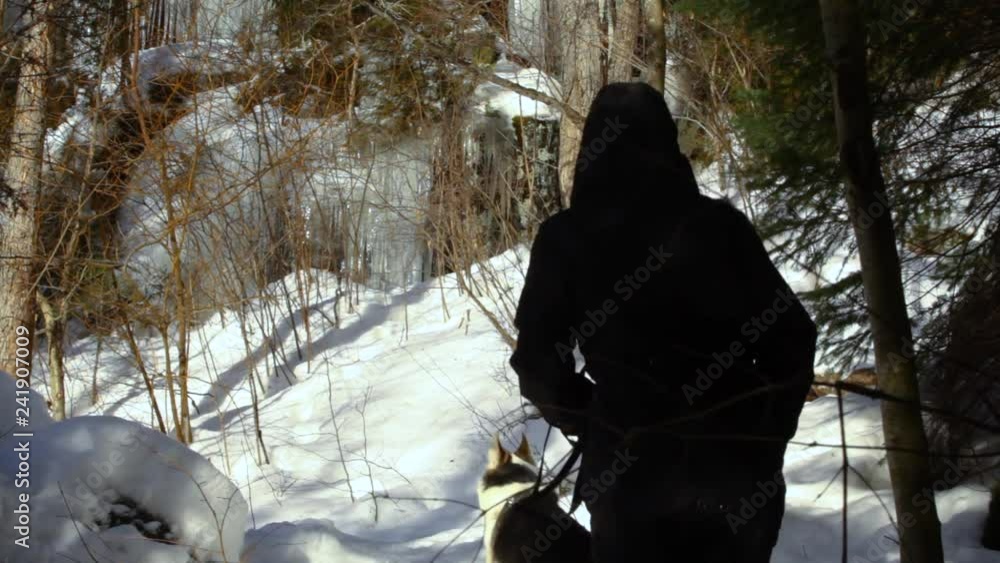 Two women walking in forest with a dog. Old woman and younger girl walking in the forest with alaskan husky dog, having a hard time climbing the snowy path in wintertime - fixed angle