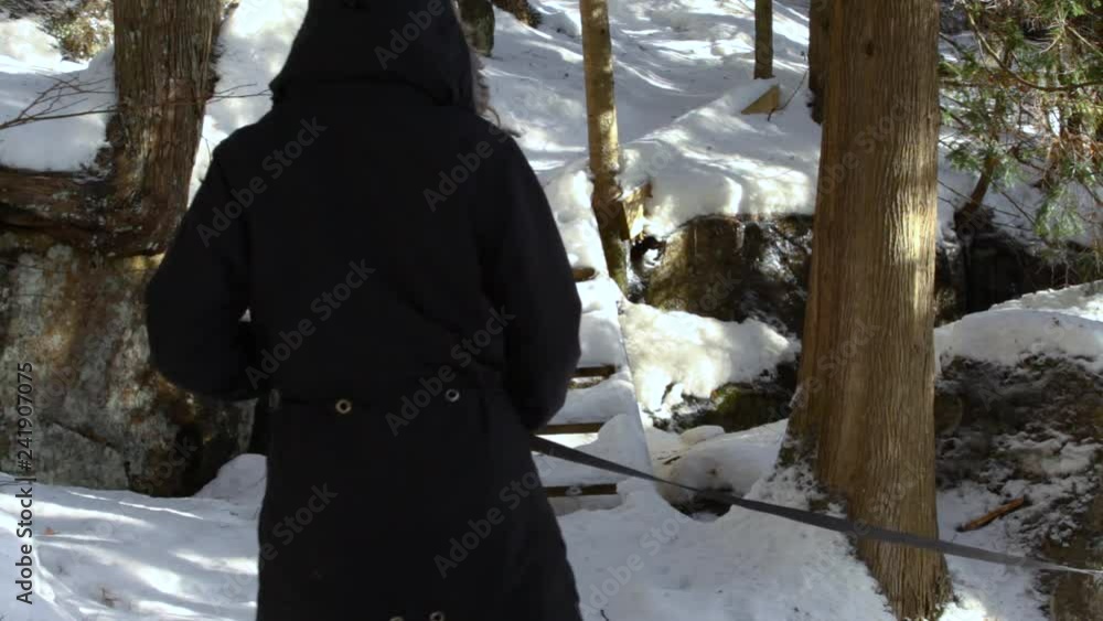 Two women walking in forest with a dog. Old woman and younger girl walking in the forest with alaskan husky dog, climbing the snowy stairs in wintertime - fixed angle