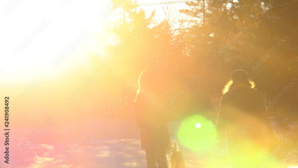 Two women walking a husky dog in winter. Old woman and younger girl walking in the street with alaskan husky dog in wintertime, flooded by sun flares - traveling up