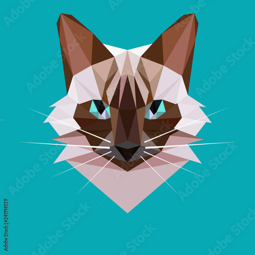Vector cat in a polygon style. Siamese cat head
