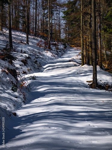 Dirt road covered with snow in Beskids Mountains in sunny day © ffolas