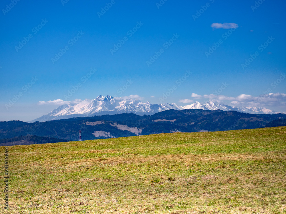 Fototapeta premium High Tatras Mountains. View from Eastern Beskids, Pass Vabec. Near Stara Lubovna Town, Slovakia.
