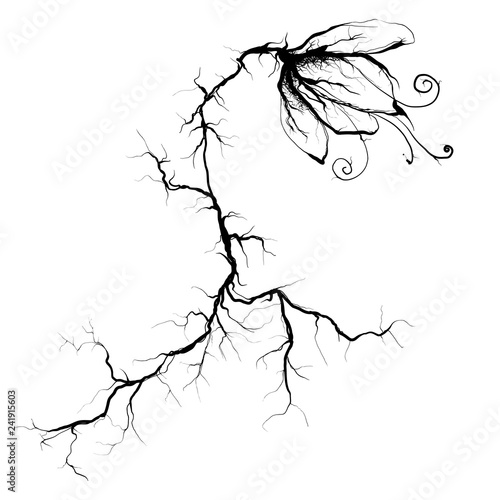 abstract flower with roots-veins, vector illustration